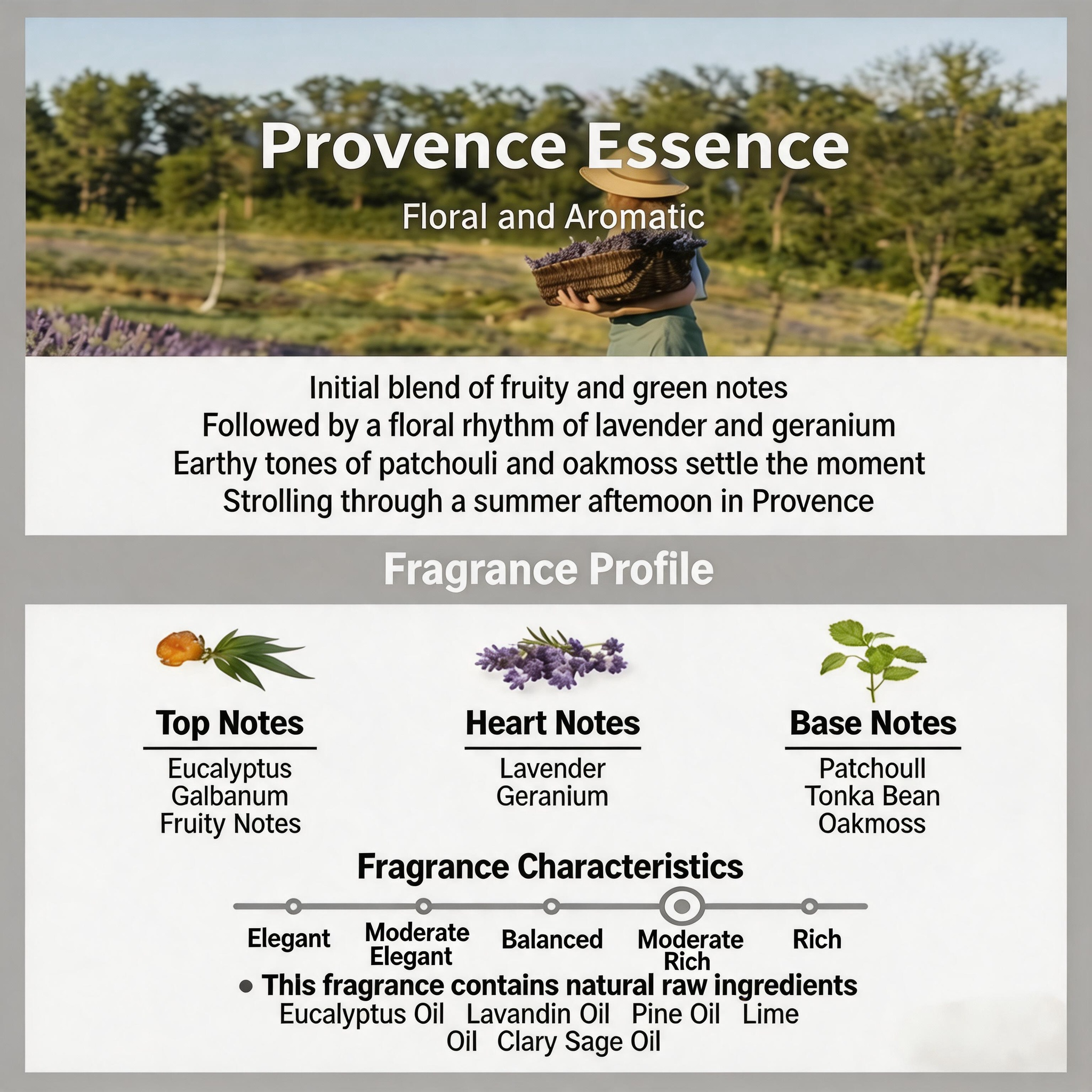 Scent Discovery Set