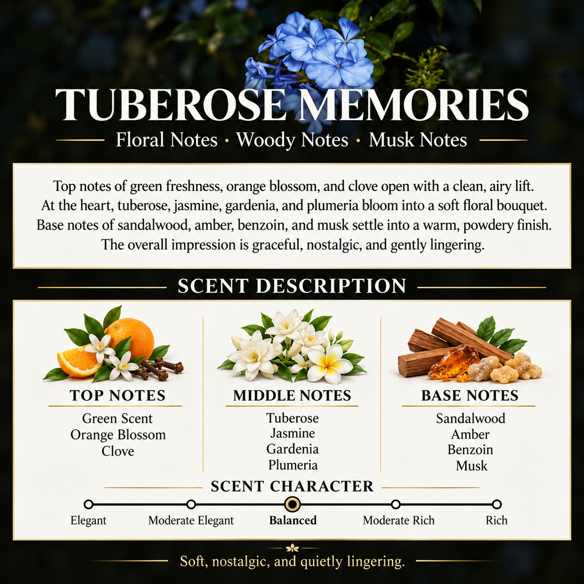Tuberose Memories fragrance notes infographic